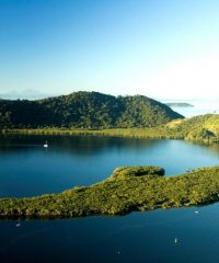 Ilha da Cotinga